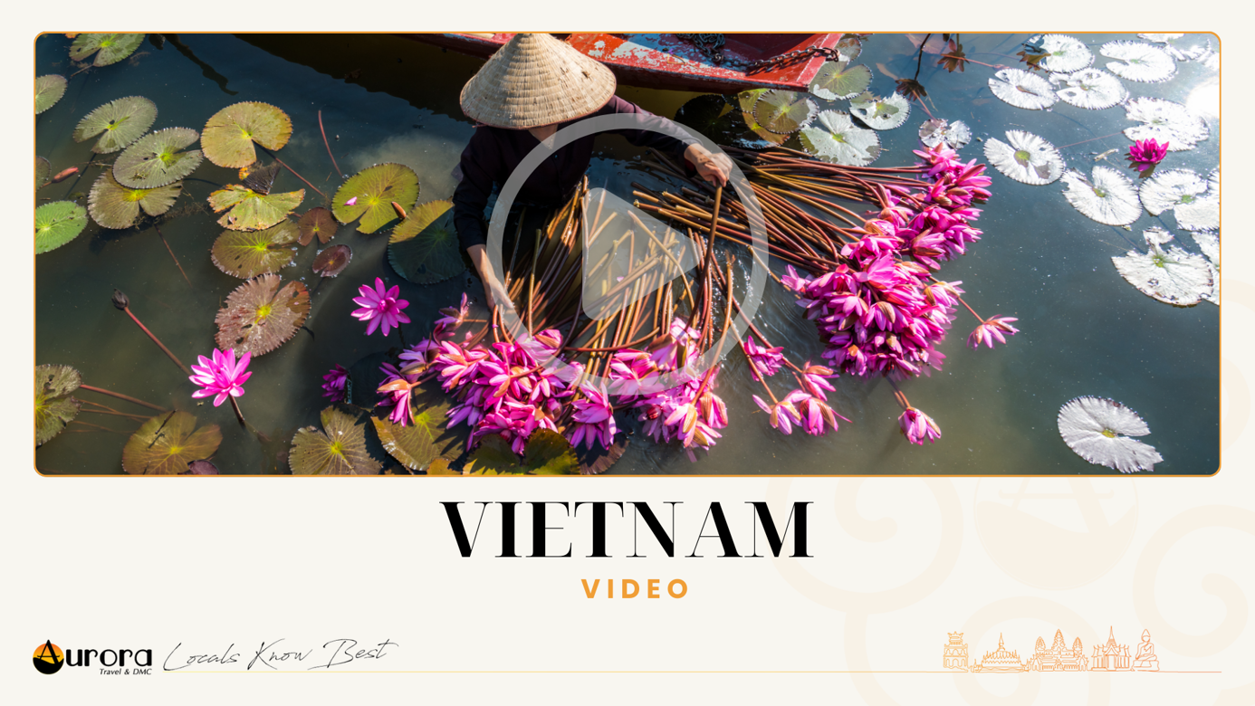 Vietnam Video
